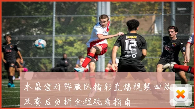 水晶宫对阵狼队精彩直播视频回放及赛后分析全程观看指南