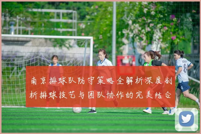 南京排球队防守策略全解析深度剖析排球技艺与团队协作的完美结合