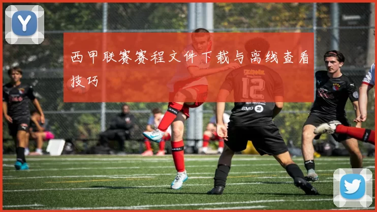 西甲联赛赛程文件下载与离线查看技巧