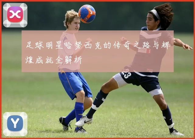 足球明星哈努西克的传奇之路与辉煌成就全解析