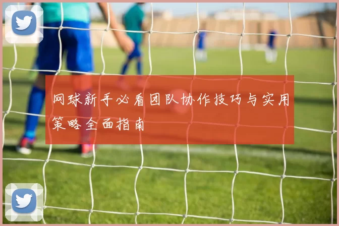 网球新手必看团队协作技巧与实用策略全面指南