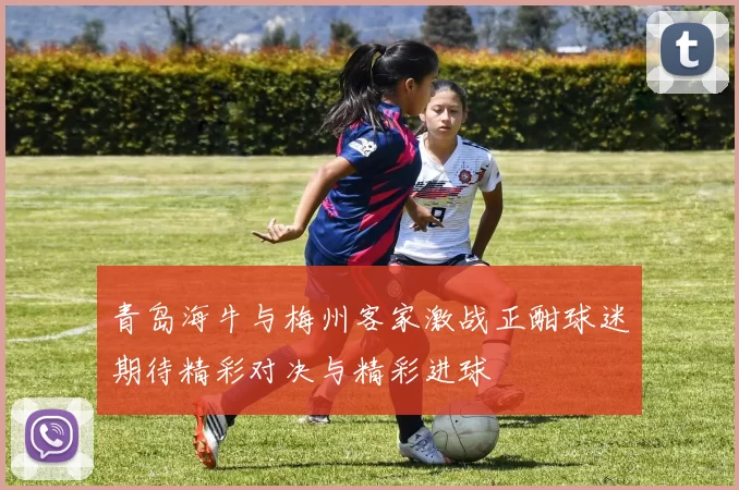 青岛海牛与梅州客家激战正酣球迷期待精彩对决与精彩进球