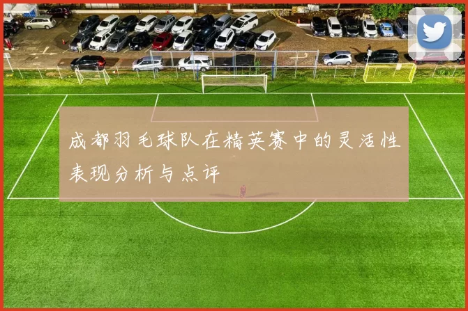 成都羽毛球队在精英赛中的灵活性表现分析与点评