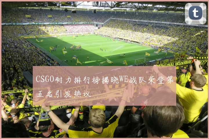 CSGO耐力排行榜揭晓WE战队荣登第五名引发热议